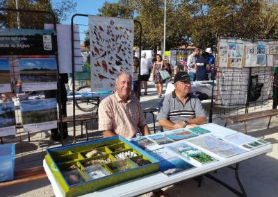 Atelier - Réserve naturelle nationale du Bagnas