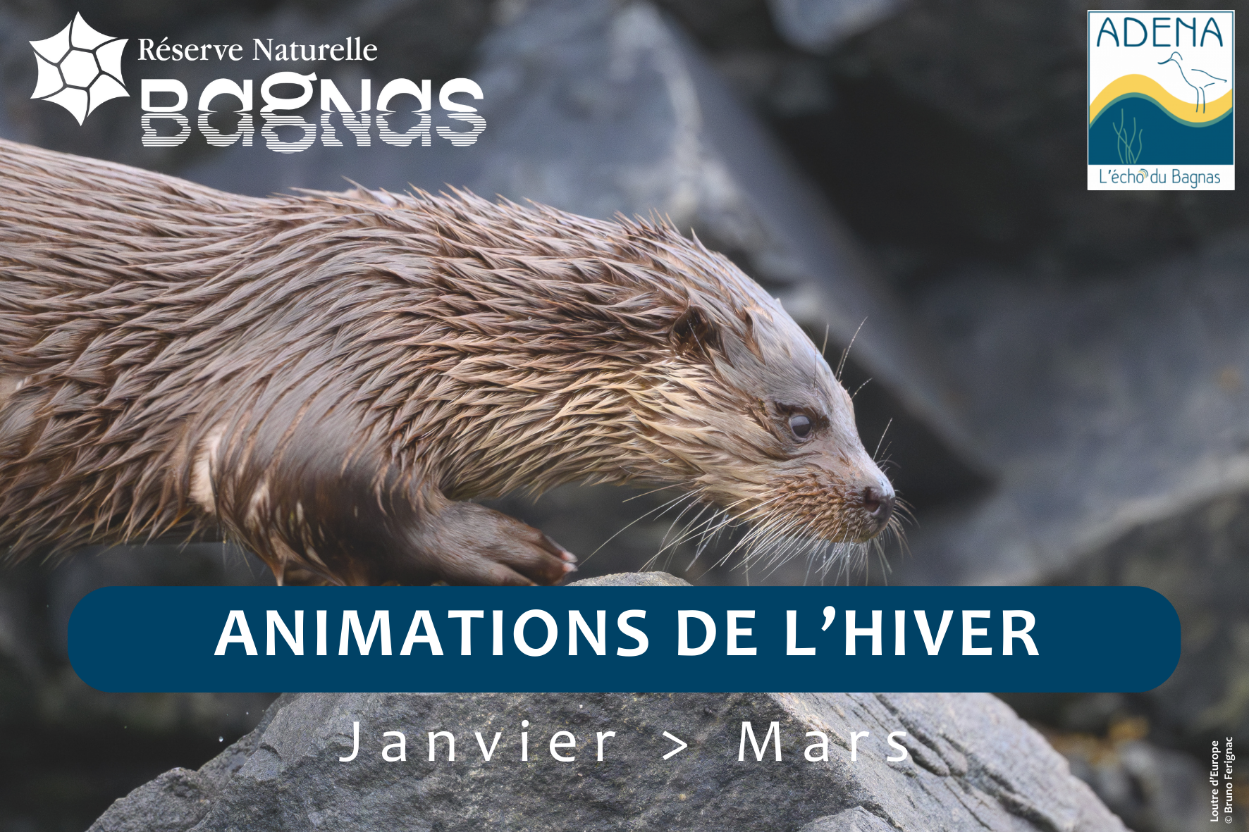 VignetteWEB_Hiver2026 (2)